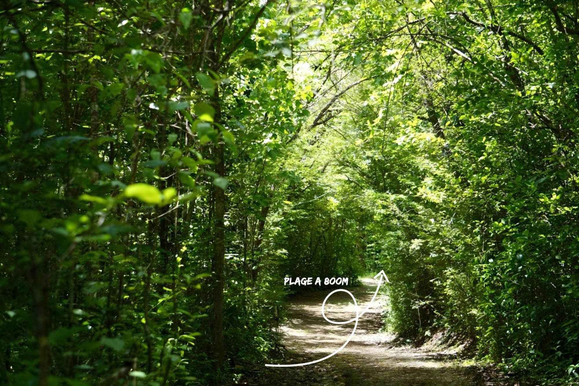 レ・トロワ・イレ Domaine De L'Anse Ramierアパートホテル エクステリア 写真
