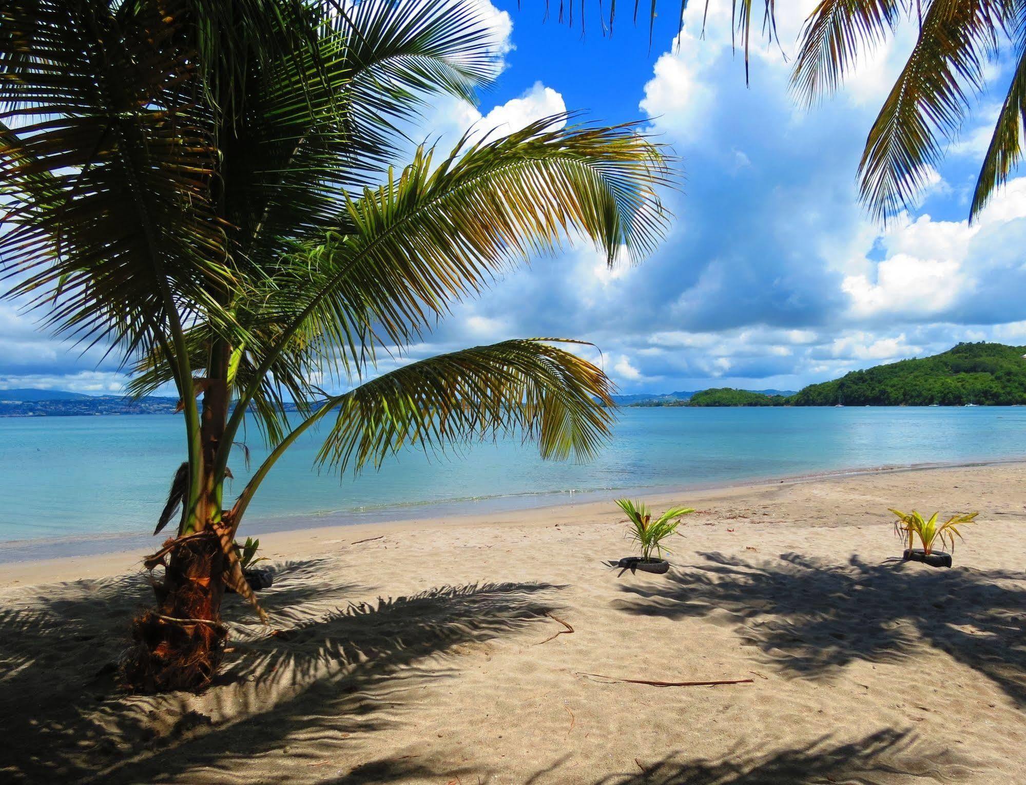レ・トロワ・イレ Domaine De L'Anse Ramierアパートホテル エクステリア 写真