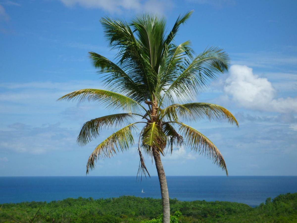 レ・トロワ・イレ Domaine De L'Anse Ramierアパートホテル エクステリア 写真